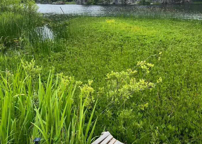 Lyxtält Hommen Gård Glamping *